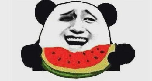 吃瓜群众二哈舔屏视频免费观看,吃瓜群众狂欢时刻！